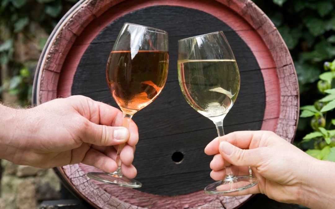 Diferencias en la producción de vino blanco y vino tinto